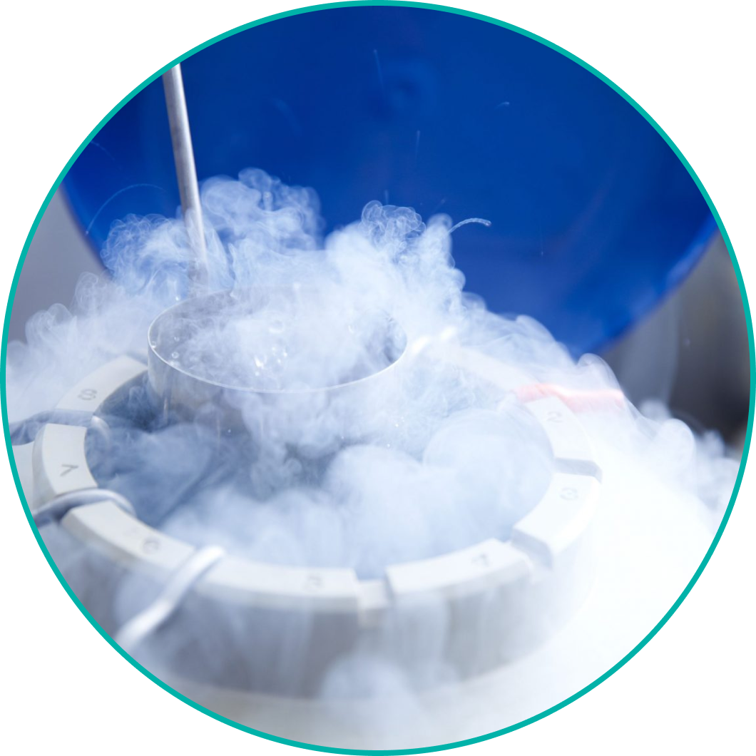 Cryopreservation in a liquid nitrogen vessel
