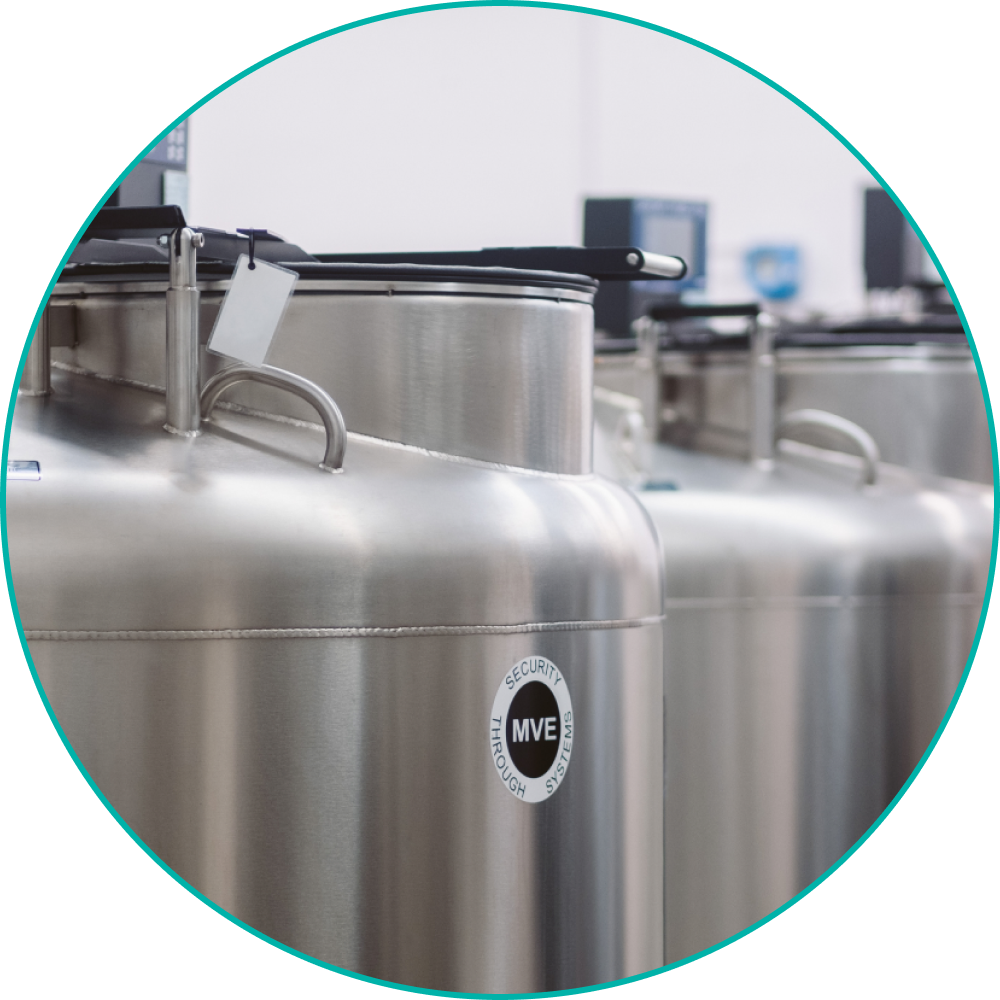 Cryogenic sample storage tanks in a biobank